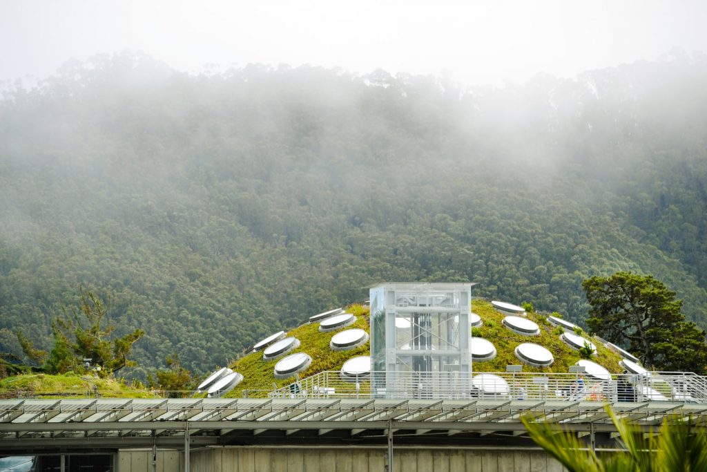 Renzo Piano, il re degli edifici sostenibili