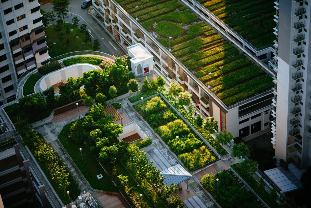 Come il verde migliora l'efficienza energetica degli edifici